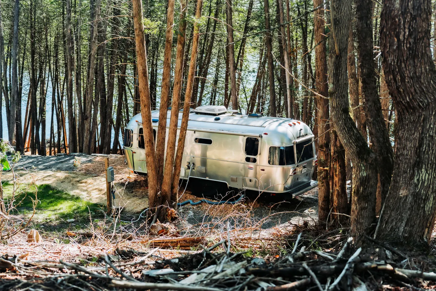 The Airstream tucked into its cedar grove at Dragonwood