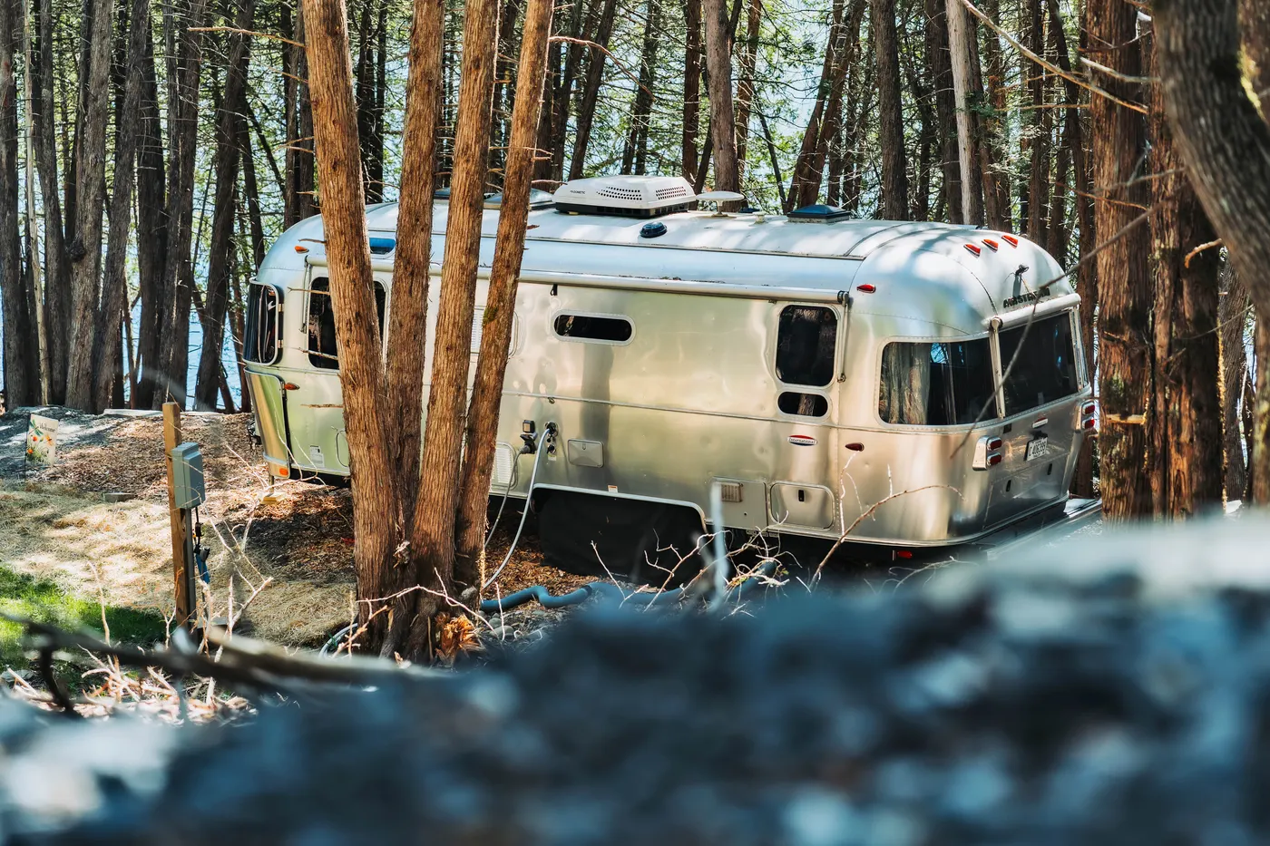Side view of the Airstream among the cedars