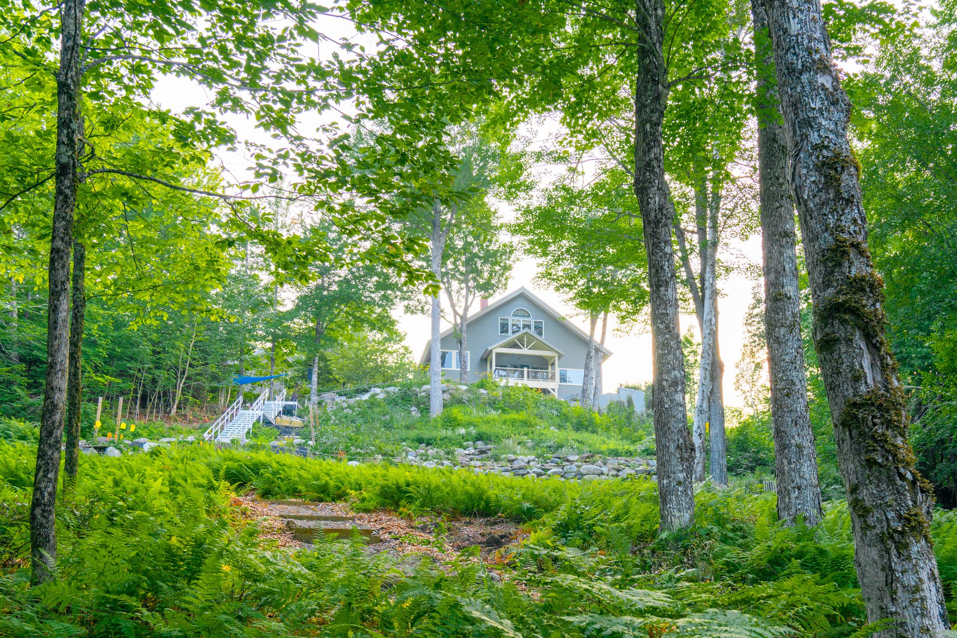 Main House through the birch trees