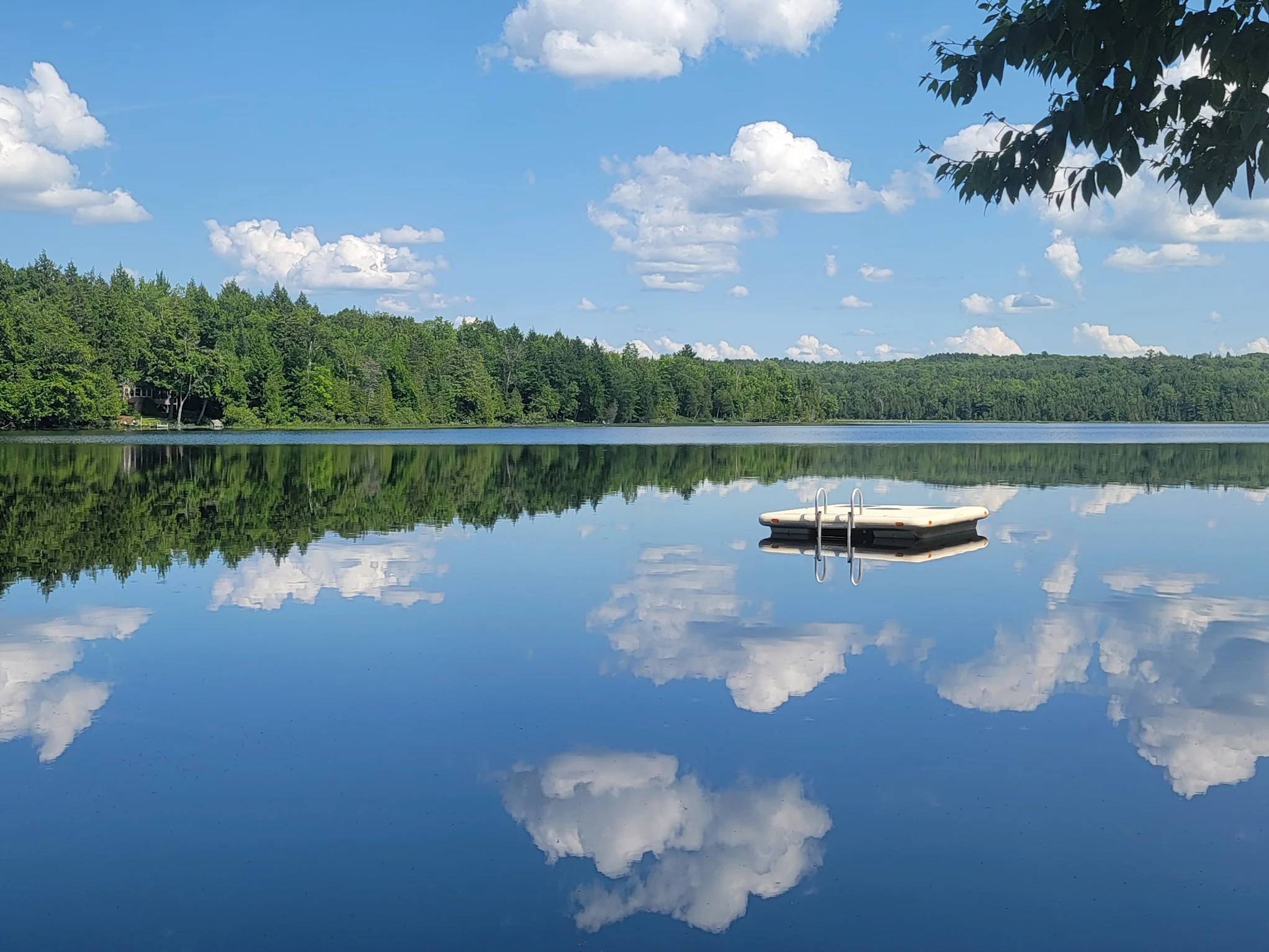 Photo by Lindsey at Dragonwood