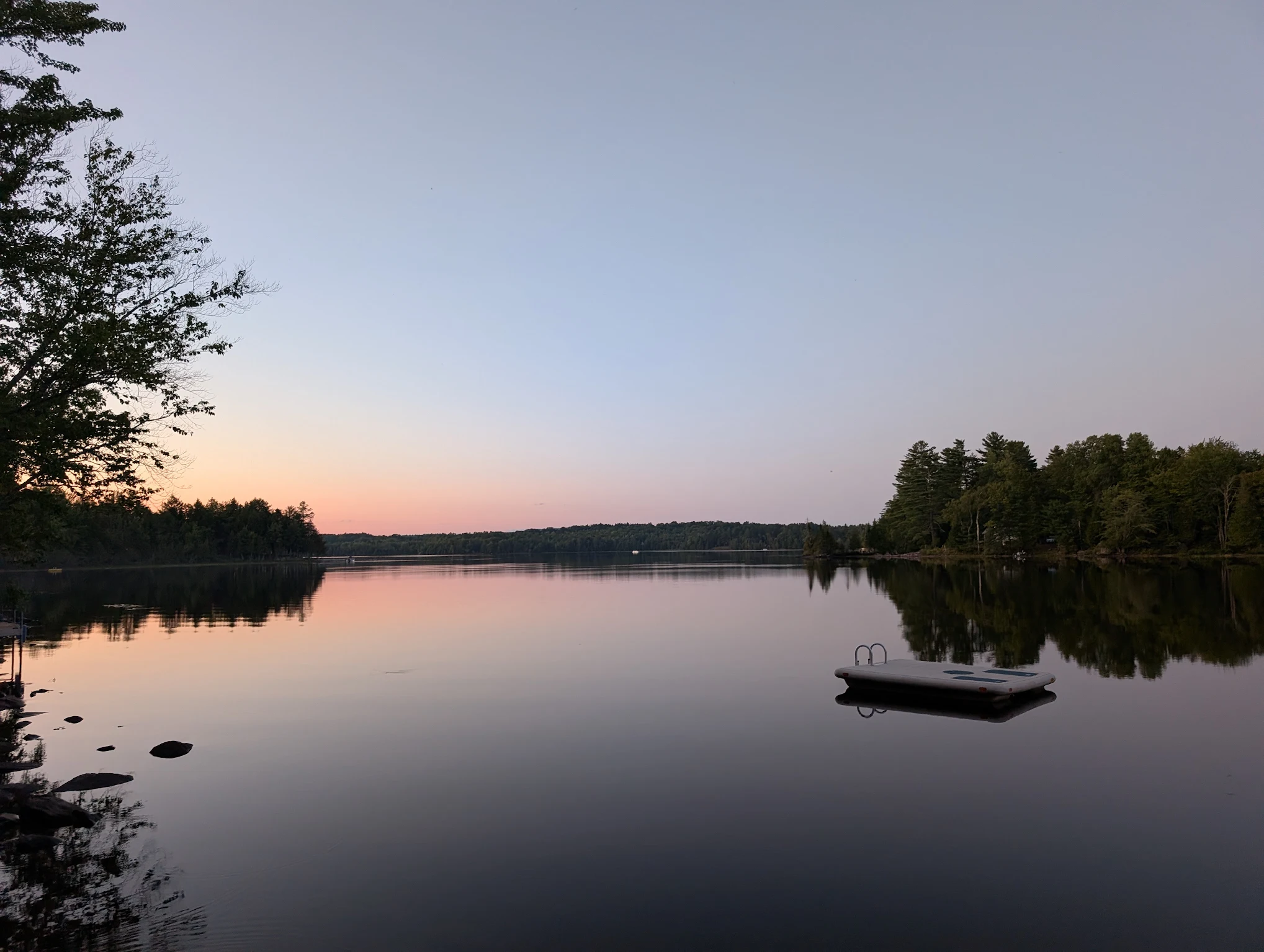 Photo by Veena at Dragonwood