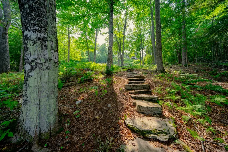 Walking trails on the Dragonwood property