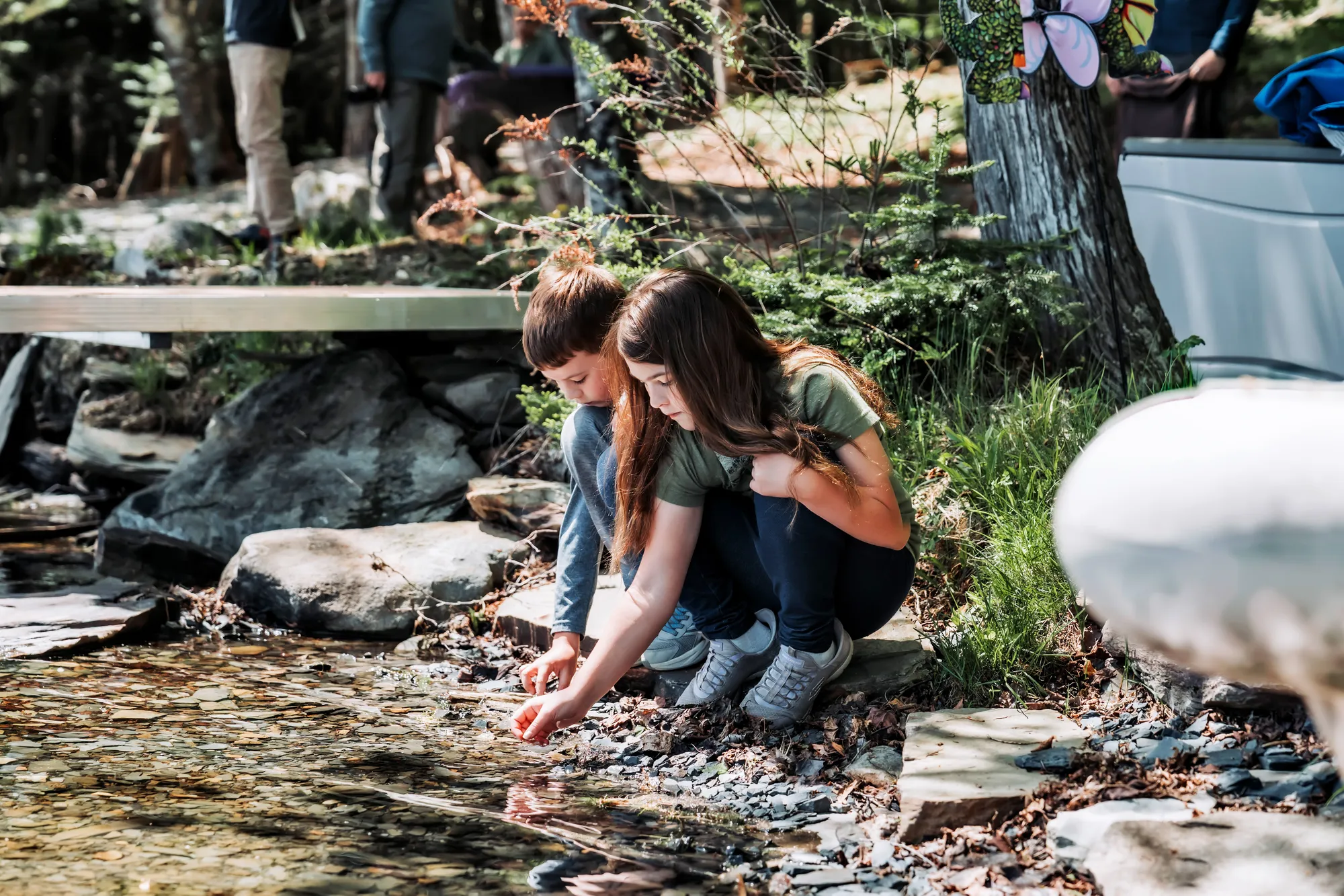 Children exploring a small stream at Dragonwood