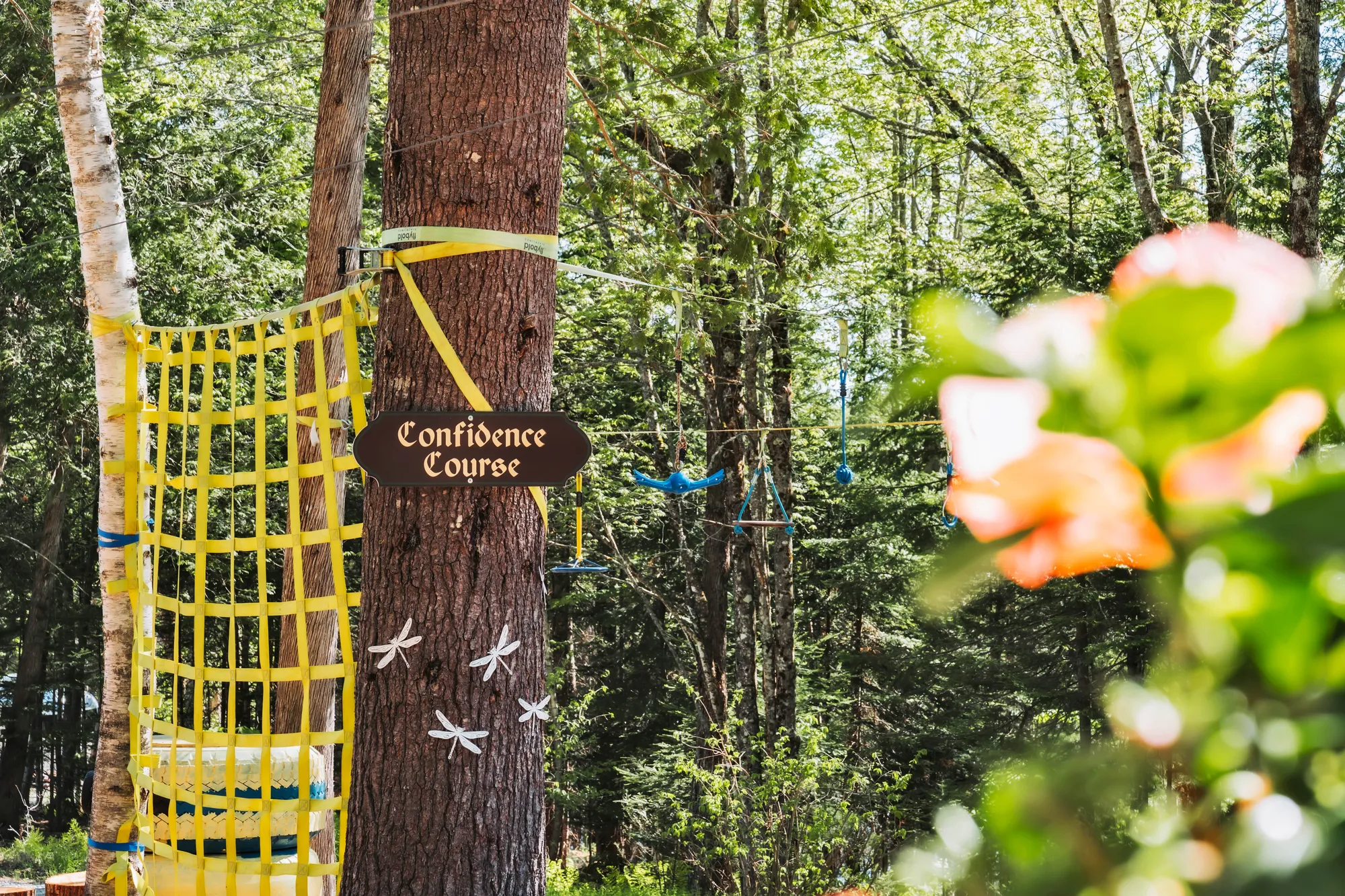 Confidence Course sign among the trees at Dragonwood