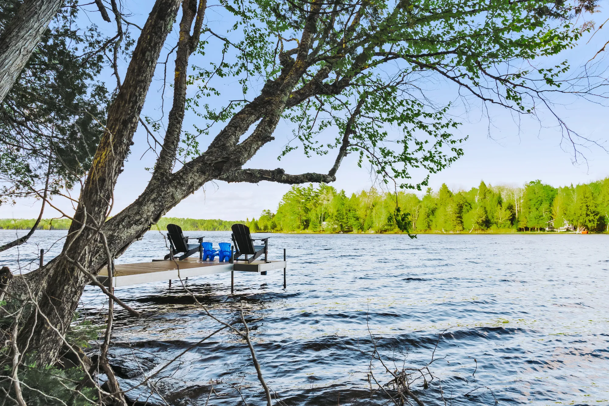 Dragonwood dock seen through the shoreline trees