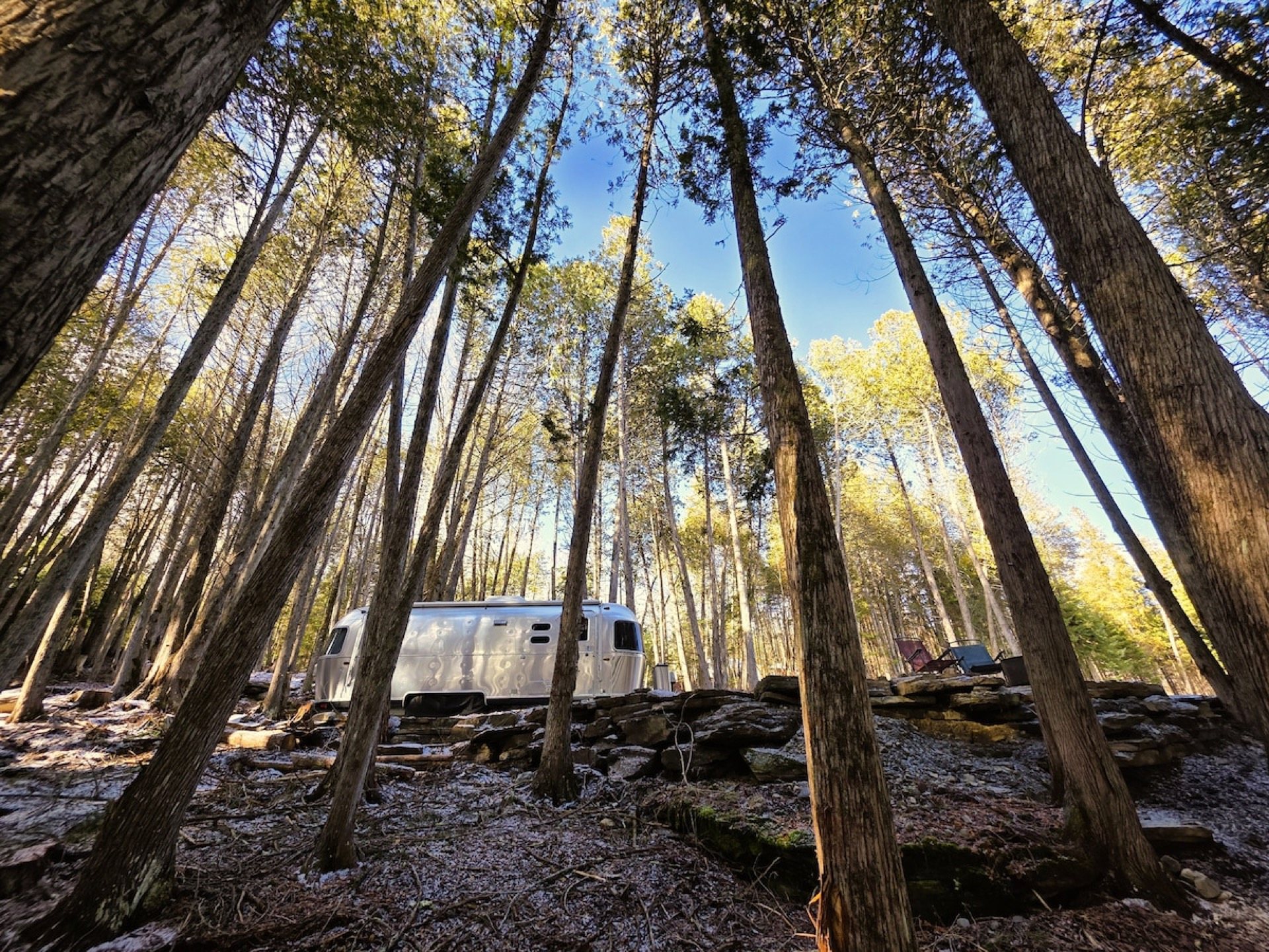 Airstream in its cedar grove