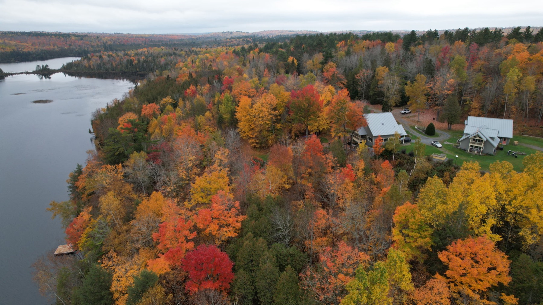 Foliage Season